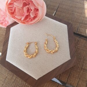 20260325_102717 Créoles — L’essentiel intemporel