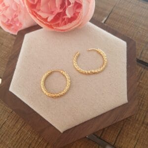 20260325_102945 Créoles — L’essentiel intemporel