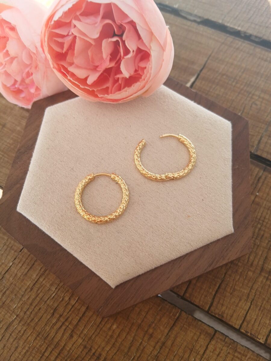 20260325_102945 Créoles — L’essentiel intemporel