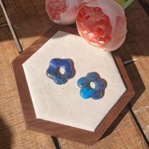 20260325_104100 Les Eva — Boucles d’oreilles Pampilles