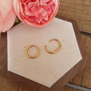 20260325_110216 Créoles — L’essentiel intemporel