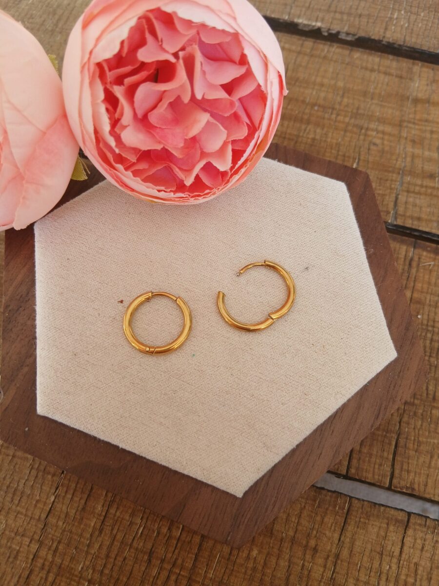 20260325_110216 Créoles — L’essentiel intemporel