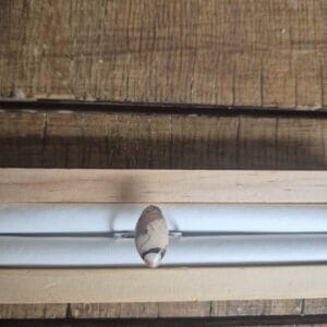 IMG-20260322-WA0062 Les Bagues - Losange en toute finesse