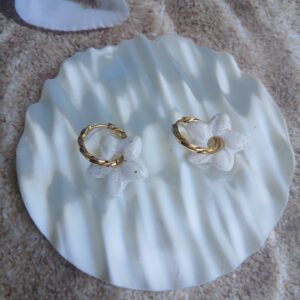 La collection Blanche