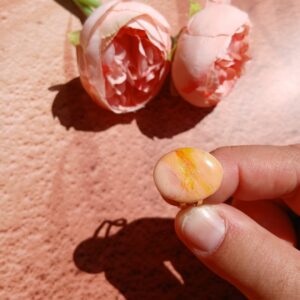 La collection Sorbet d'été