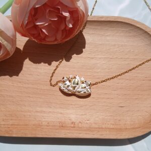 La collection Blanche